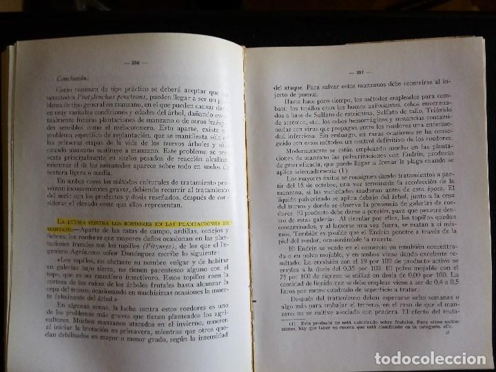 Libros de segunda mano: EL MANZANO, DE SERGIO ALVAREZ REQUEJO - Foto 2