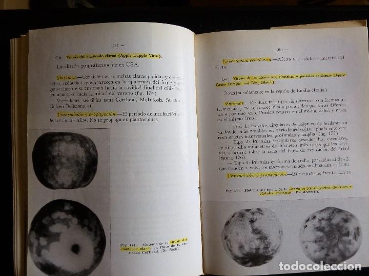 Libros de segunda mano: EL MANZANO, DE SERGIO ALVAREZ REQUEJO - Foto 3