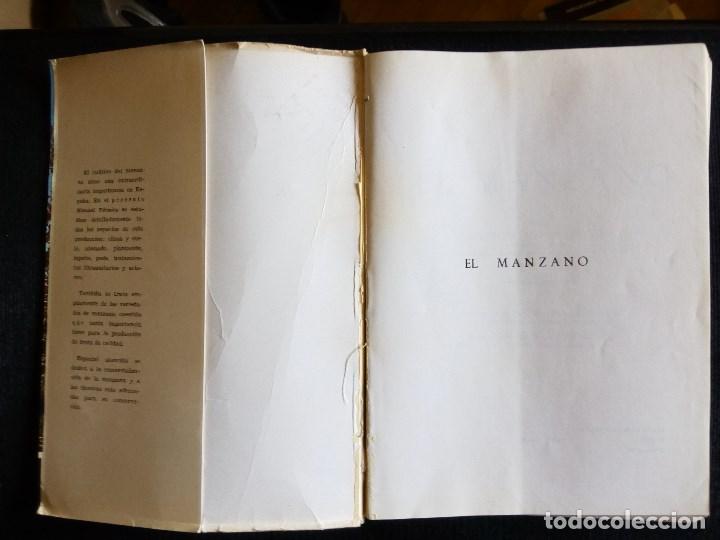 Libros de segunda mano: EL MANZANO, DE SERGIO ALVAREZ REQUEJO - Foto 5