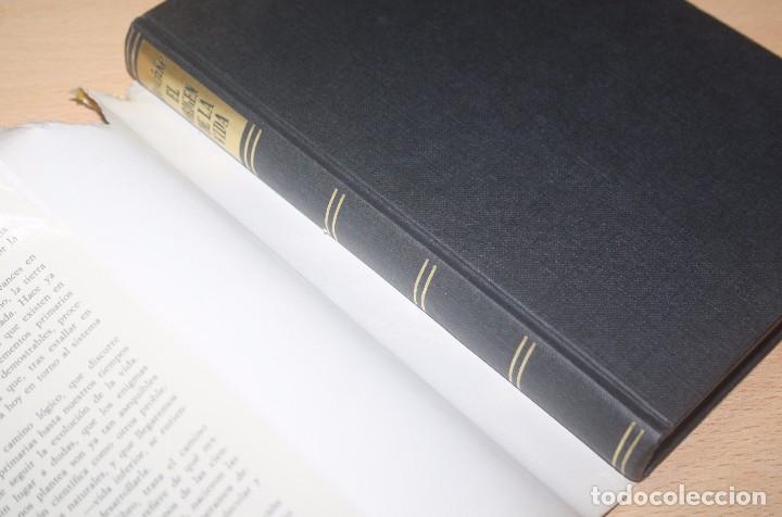 Libros de segunda mano: El origen de la vida &ndash; F. L. Boschke - Foto 2