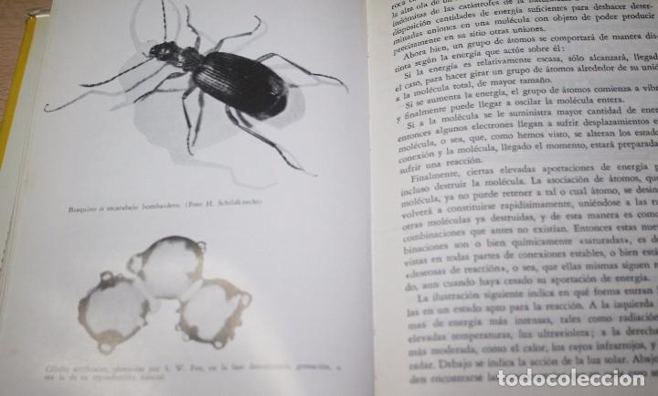 Libros de segunda mano: El origen de la vida &ndash; F. L. Boschke - Foto 5