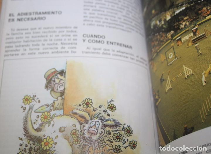 Libros de segunda mano: El shar-pei &ndash; A. K. Nicholas - Foto 3