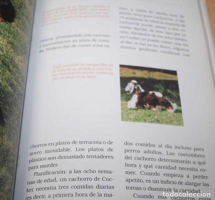 Libros de segunda mano: El cocker spaniel americano &ndash; Judy Ibi - Cria de perros - Foto 2