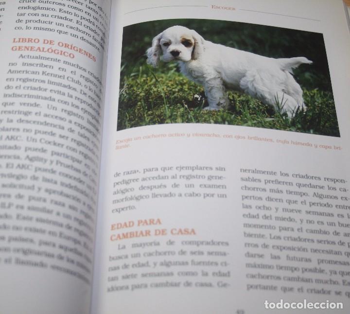 Libros de segunda mano: El cocker spaniel americano &ndash; Judy Ibi - Cria de perros - Foto 3