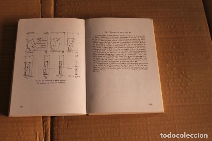 Libros de segunda mano: LA PREHISTORIA, DE ANDR&Eacute; LEROI-GOURHAN, EDITORIAL LABOR - Foto 2