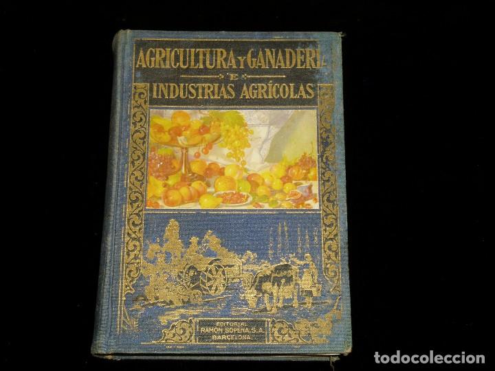 Libros de segunda mano: Libro de las Industrias Agr&iacute;colas de Sopena - Foto 1