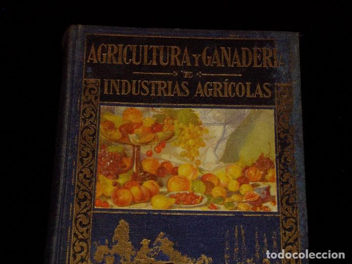 Libros de segunda mano: Libro de las Industrias Agr&iacute;colas de Sopena - Foto 2