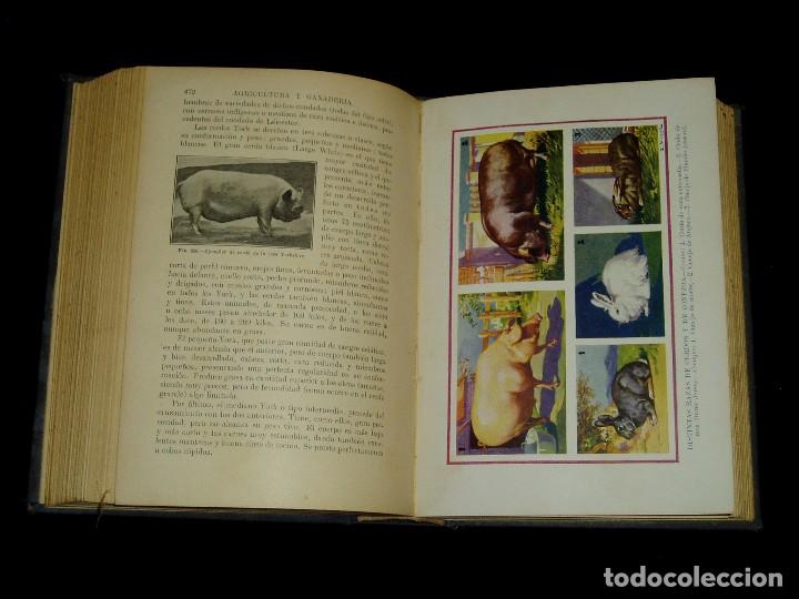 Libros de segunda mano: Libro de las Industrias Agr&iacute;colas de Sopena - Foto 4