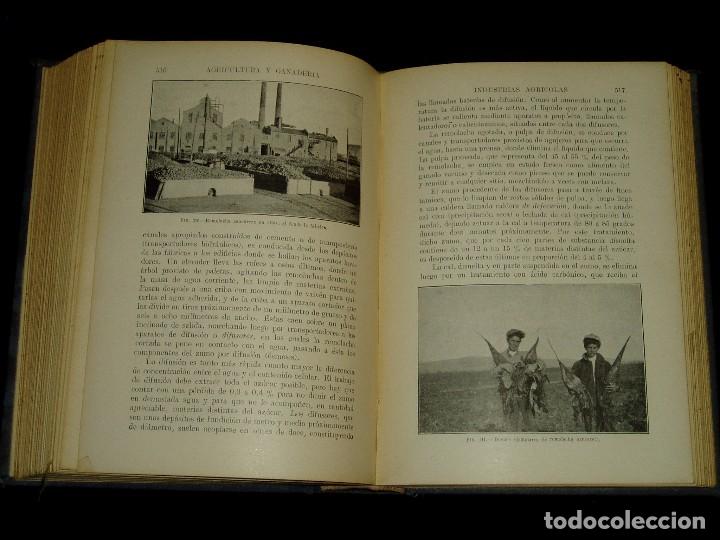 Libros de segunda mano: Libro de las Industrias Agr&iacute;colas de Sopena - Foto 7