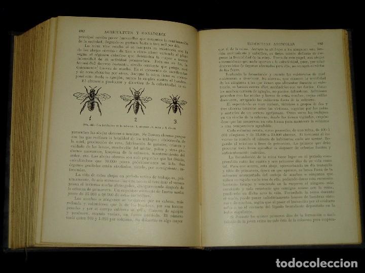 Libros de segunda mano: Libro de las Industrias Agr&iacute;colas de Sopena - Foto 13
