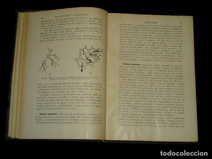 Libros de segunda mano: Libro de las Industrias Agr&iacute;colas de Sopena - Foto 16