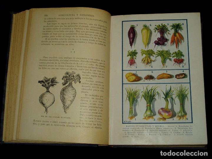 Libros de segunda mano: Libro de las Industrias Agr&iacute;colas de Sopena - Foto 18