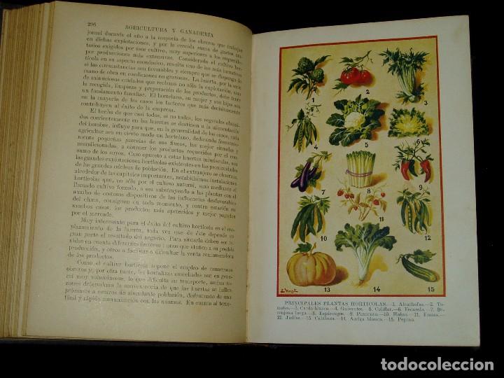 Libros de segunda mano: Libro de las Industrias Agr&iacute;colas de Sopena - Foto 19