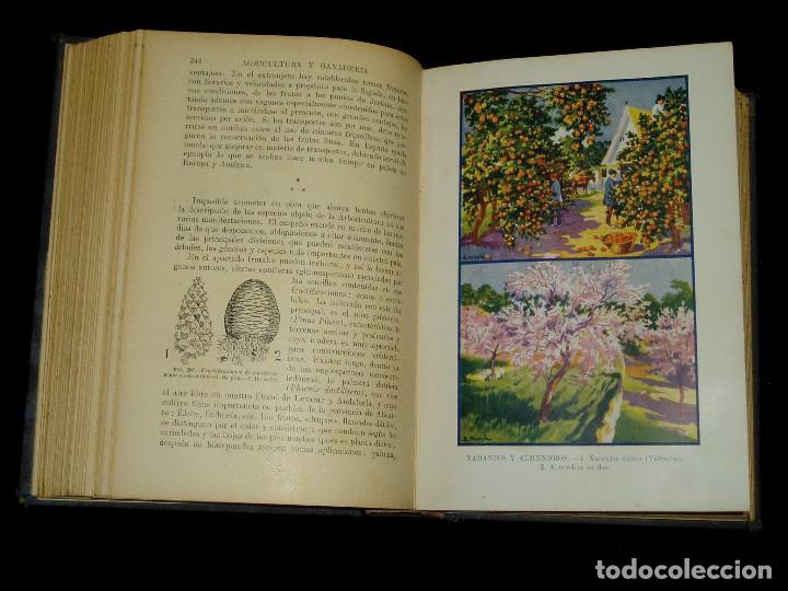 Libros de segunda mano: Libro de las Industrias Agr&iacute;colas de Sopena - Foto 20