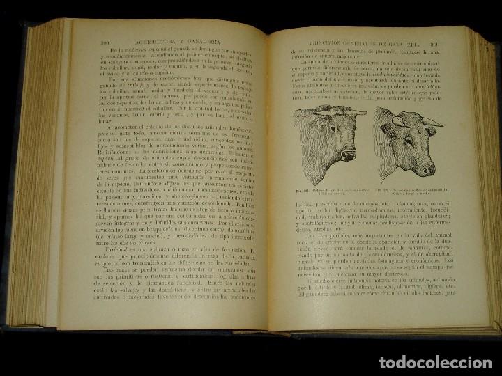 Libros de segunda mano: Libro de las Industrias Agr&iacute;colas de Sopena - Foto 21