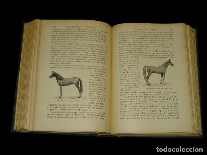 Libros de segunda mano: Libro de las Industrias Agr&iacute;colas de Sopena - Foto 22