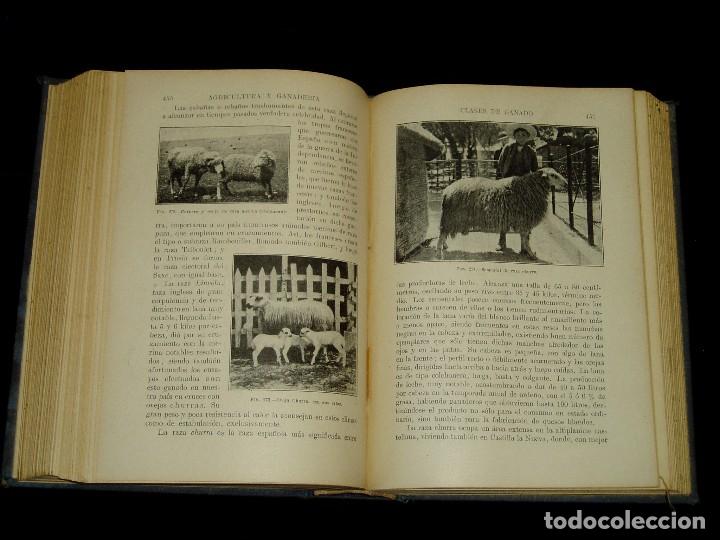Libros de segunda mano: Libro de las Industrias Agr&iacute;colas de Sopena - Foto 23