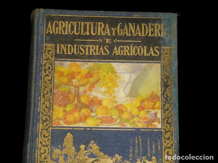 Libros de segunda mano: Libro de las Industrias Agr&iacute;colas de Sopena - Foto 26