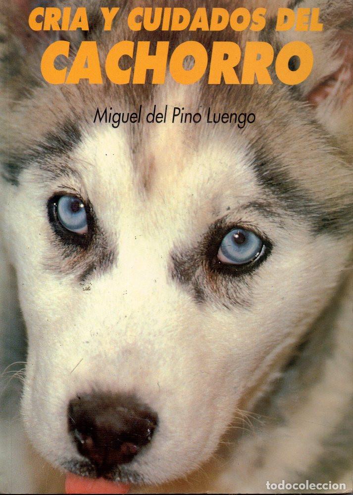 Libros de segunda mano: Cr&iacute;a y cuidados del cachorro (Miguel del Pino Luengo) - Foto 1