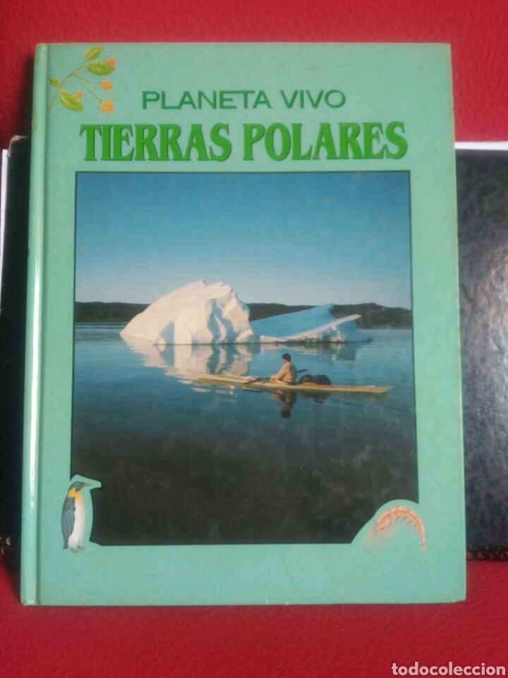 Libros de segunda mano: Planeta vivo,tierras polares. Ed:edebe - Foto 1