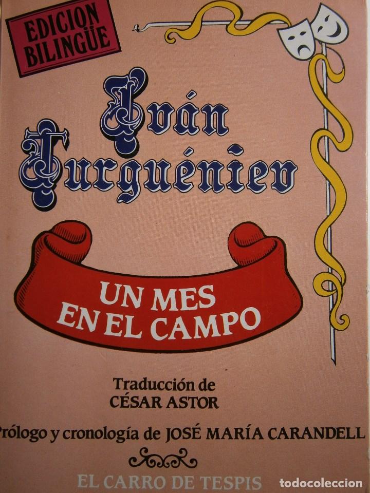Libros de segunda mano: UN MES EN EL CAMPO Ivan Turgueniev MITRE 1983 EC - Foto 1