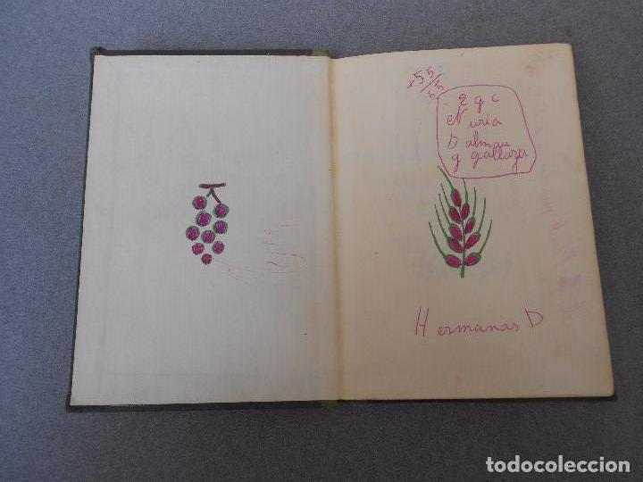 Libros de segunda mano: LA SANTA MISA. EDICION INFANTIL - Foto 2