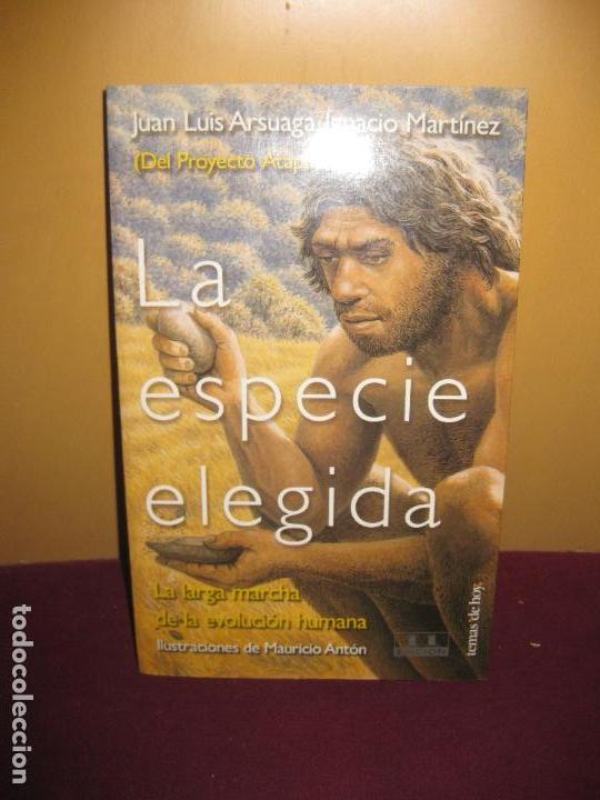 Libros de segunda mano: LA ESPECIE ELEGIDA. JUAN LUIS ARSUAGA / IGNACIO MARTINEZ.  1998. - Foto 1