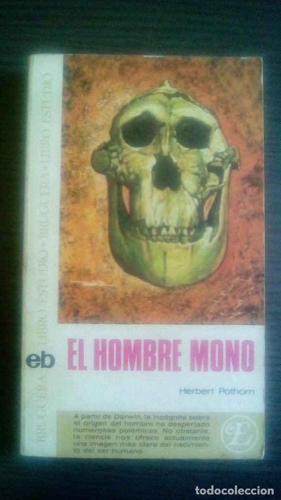Libros de segunda mano: EL HOMBRE MONO - HERBERT POTHORN - - Foto 1