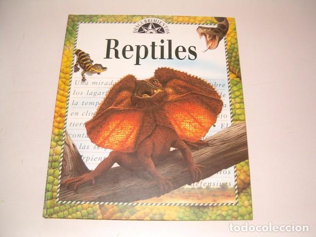 Libros de segunda mano: DOCTOR ALLEN E. GREER (ASESOR). Reptiles. RMT81223. - Foto 1