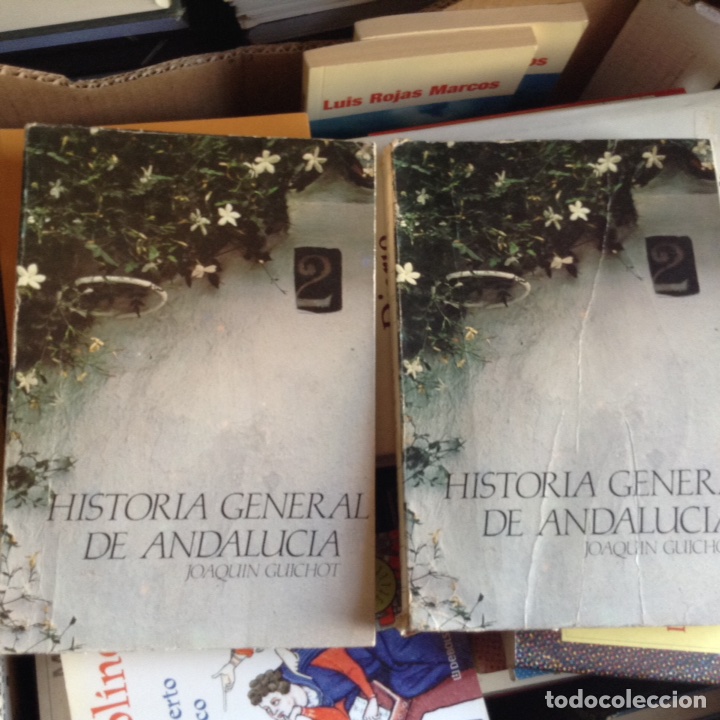 Libros de segunda mano: Historia general de Andaluc&iacute;a. Joaqu&iacute;n Guichot. Dos tomos - Foto 1