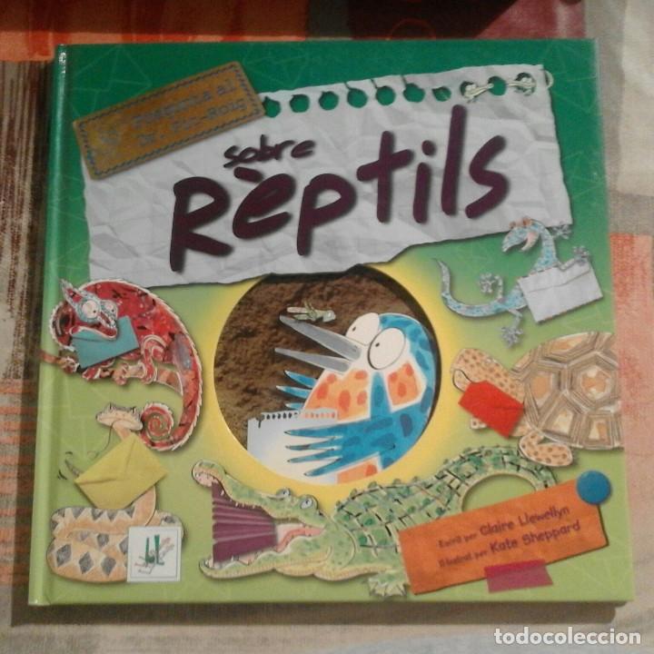 Libros de segunda mano: Pregunta al Dr. Pit-Roig sobre R&egrave;ptils - Claire Llewellyn - en catal&agrave; - Foto 1
