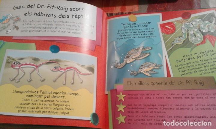 Libros de segunda mano: Pregunta al Dr. Pit-Roig sobre R&egrave;ptils - Claire Llewellyn - en catal&agrave; - Foto 4