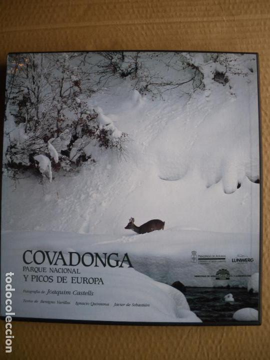 Libros de segunda mano: COVADONGA Y PICOS DE EUROPA. - Foto 1