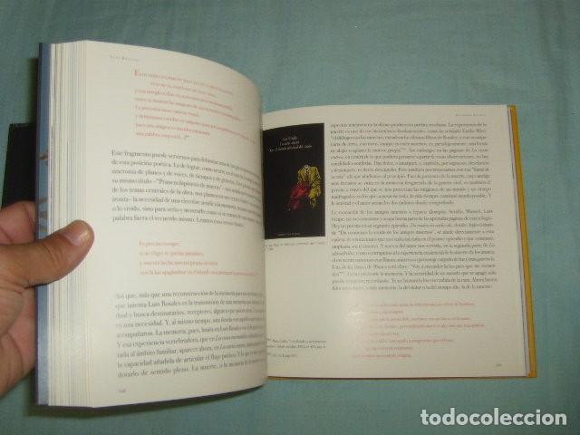 Libros de segunda mano: LUIS ROSALES , DISCIPULO DEL AIRE - Foto 2