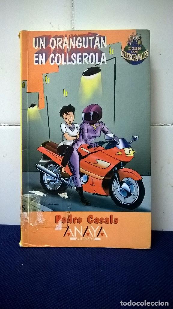 Libros de segunda mano: ENIGMA EN INTERNET &ndash; PEDRO CASALS &ndash; ANAYA MULTIMEDIA - Foto 1