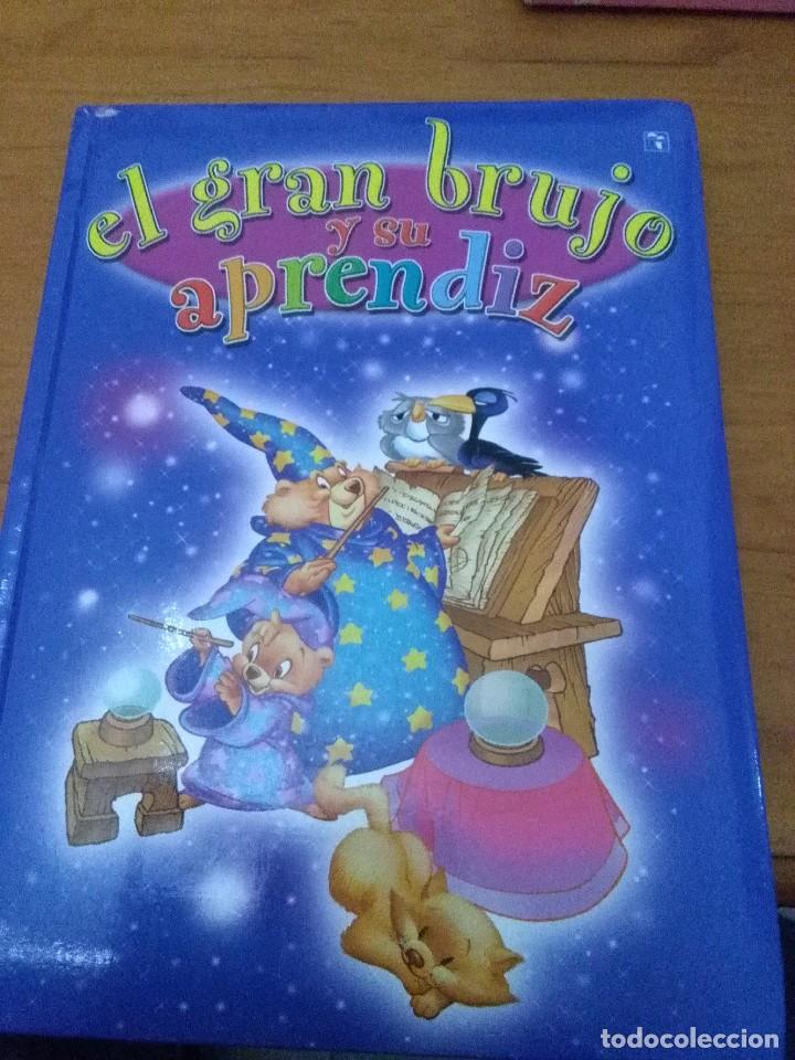 Libros de segunda mano: EL GRAN BRUJO Y SU APRENDIZ. EDICIONES SALDA&Ntilde;A. EST9B1 - Foto 1