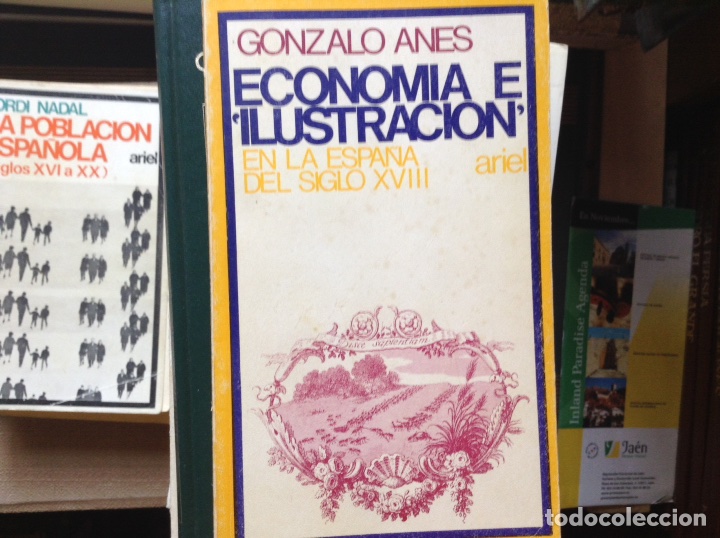 Libros de segunda mano: Econom&iacute;a e ilustraci&oacute;n. Gonzalo Anes - Foto 1