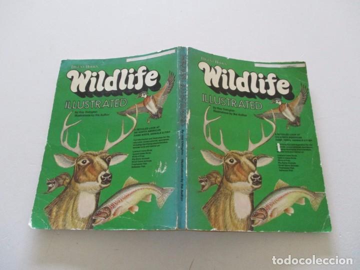 Libros de segunda mano: RAY OVINGTON. Wildlife Illustrated. RMT81746. - Foto 1