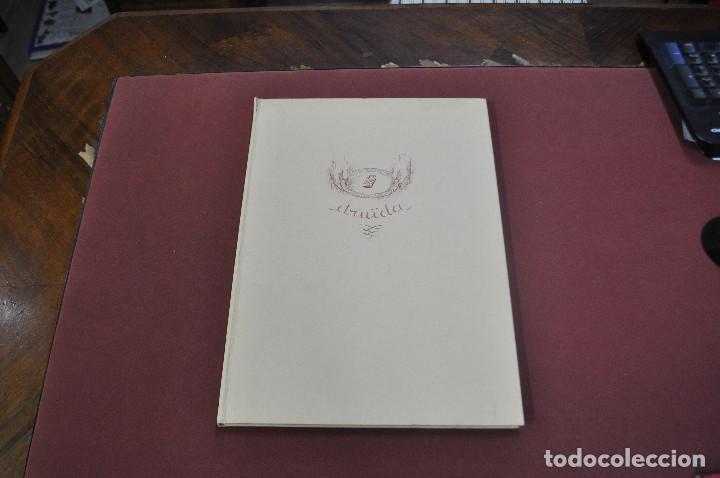 Libros de segunda mano: dru&iuml;da sis / cinc - ARB - Foto 1