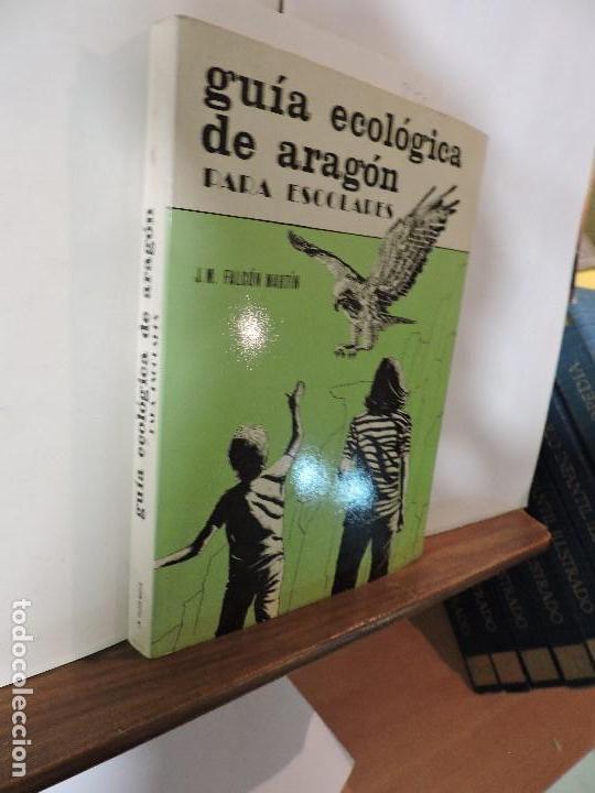 Libri di seconda mano: Guia ecol&oacute;gica de Arag&oacute;n para escolares. FALC&Oacute;N MART&Iacute;N, J.M. Zaragoza 1982