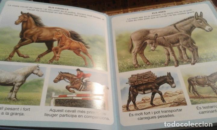 Libros de segunda mano: Diccionari en imatges dels animals - en catal&agrave; - Foto 3