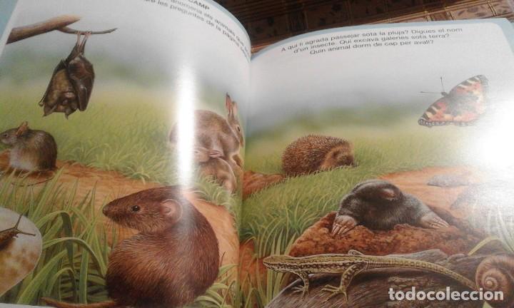 Libros de segunda mano: Diccionari en imatges dels animals - en catal&agrave; - Foto 4