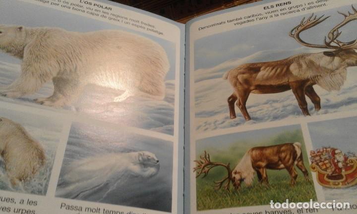 Libros de segunda mano: Diccionari en imatges dels animals - en catal&agrave; - Foto 5