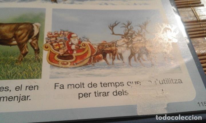 Libros de segunda mano: Diccionari en imatges dels animals - en catal&agrave; - Foto 6