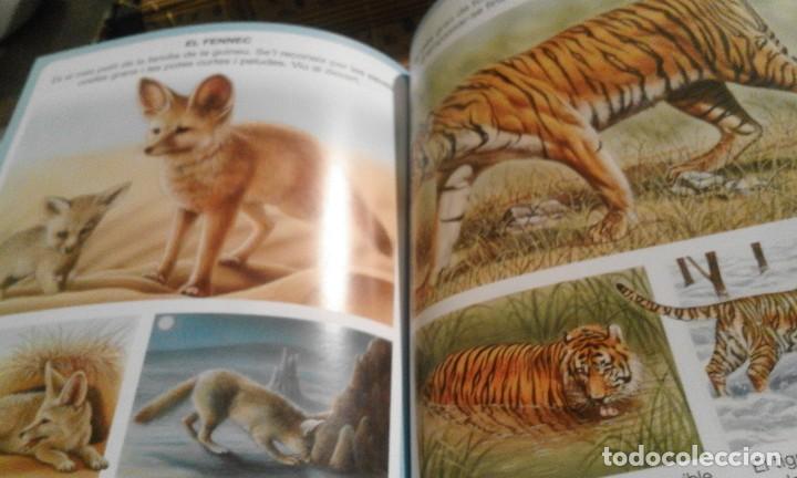 Libros de segunda mano: Diccionari en imatges dels animals - en catal&agrave; - Foto 8