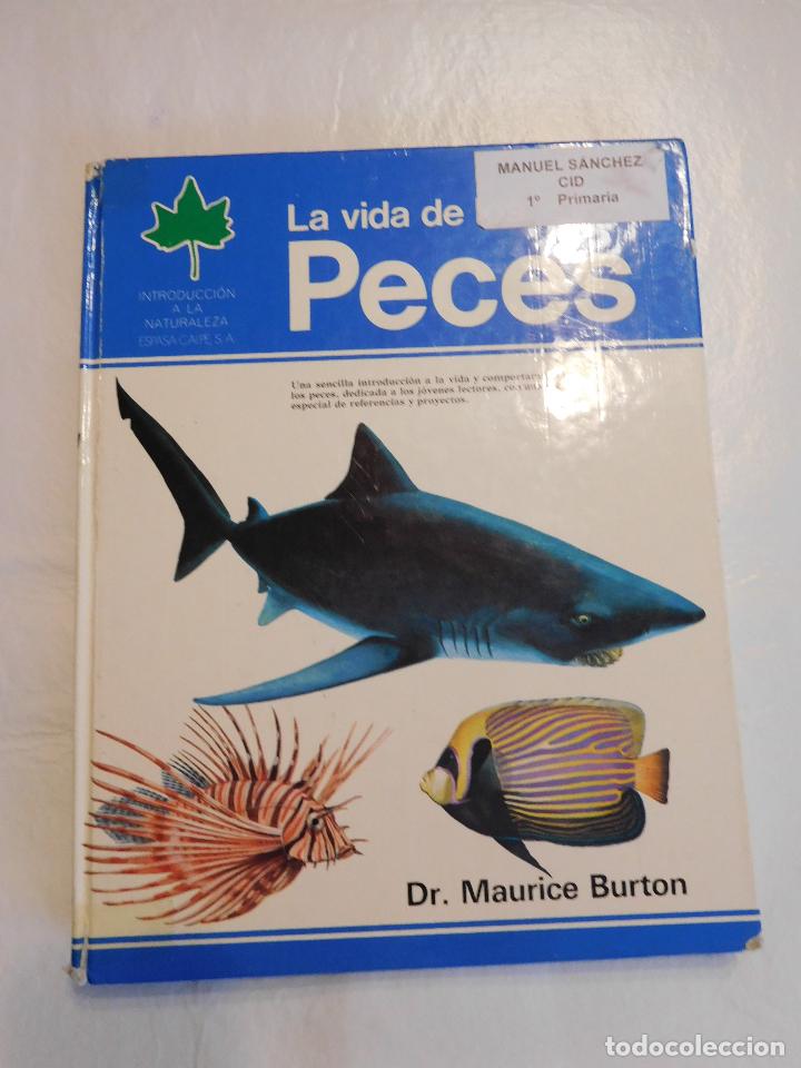 Libros de segunda mano: LIBRO ILUSTRADO LA VIDA DE LOS PECES ESPASA CALPE 1981 - Foto 1