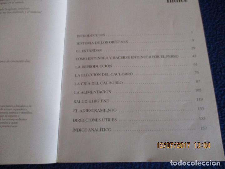 Libros de segunda mano: EL PIT BULL Guido de rosa - Foto 3