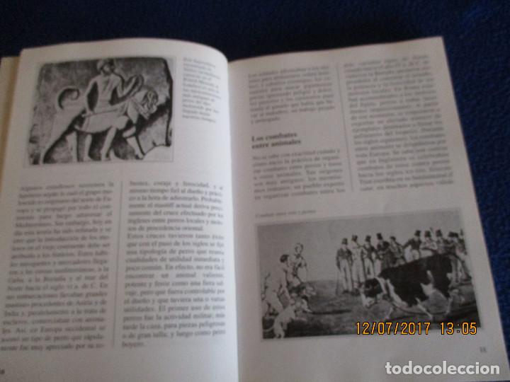 Libros de segunda mano: EL PIT BULL Guido de rosa - Foto 5