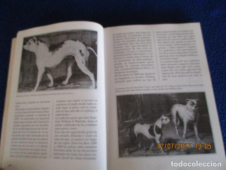Libros de segunda mano: EL PIT BULL Guido de rosa - Foto 6