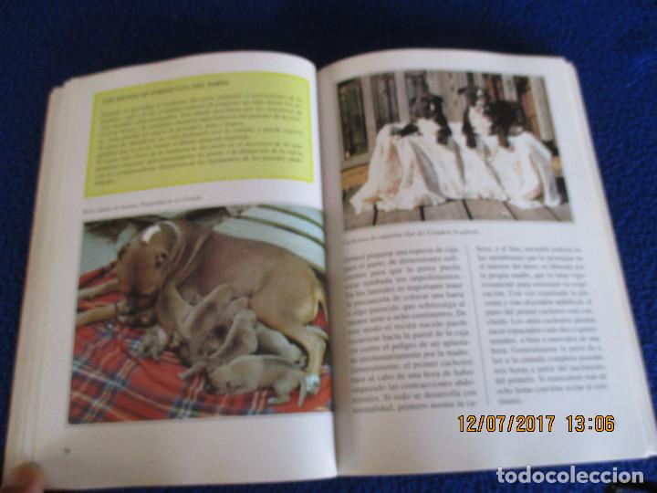 Libros de segunda mano: EL PIT BULL Guido de rosa - Foto 12